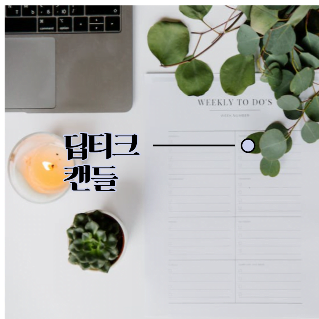 딥티크 캔들